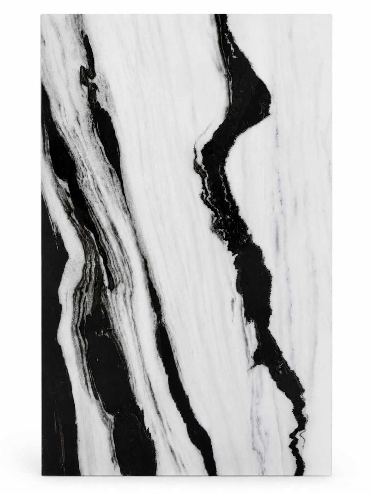 Panda White Hight Glossy 24 x 48 - Squared Feet