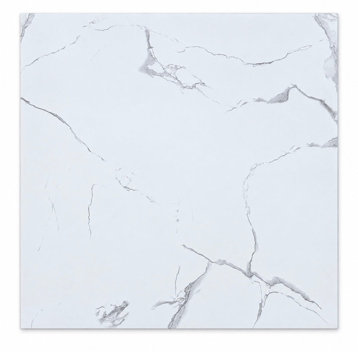 Statuario Venato Silver Polished 32 x 32 - Squared Feet