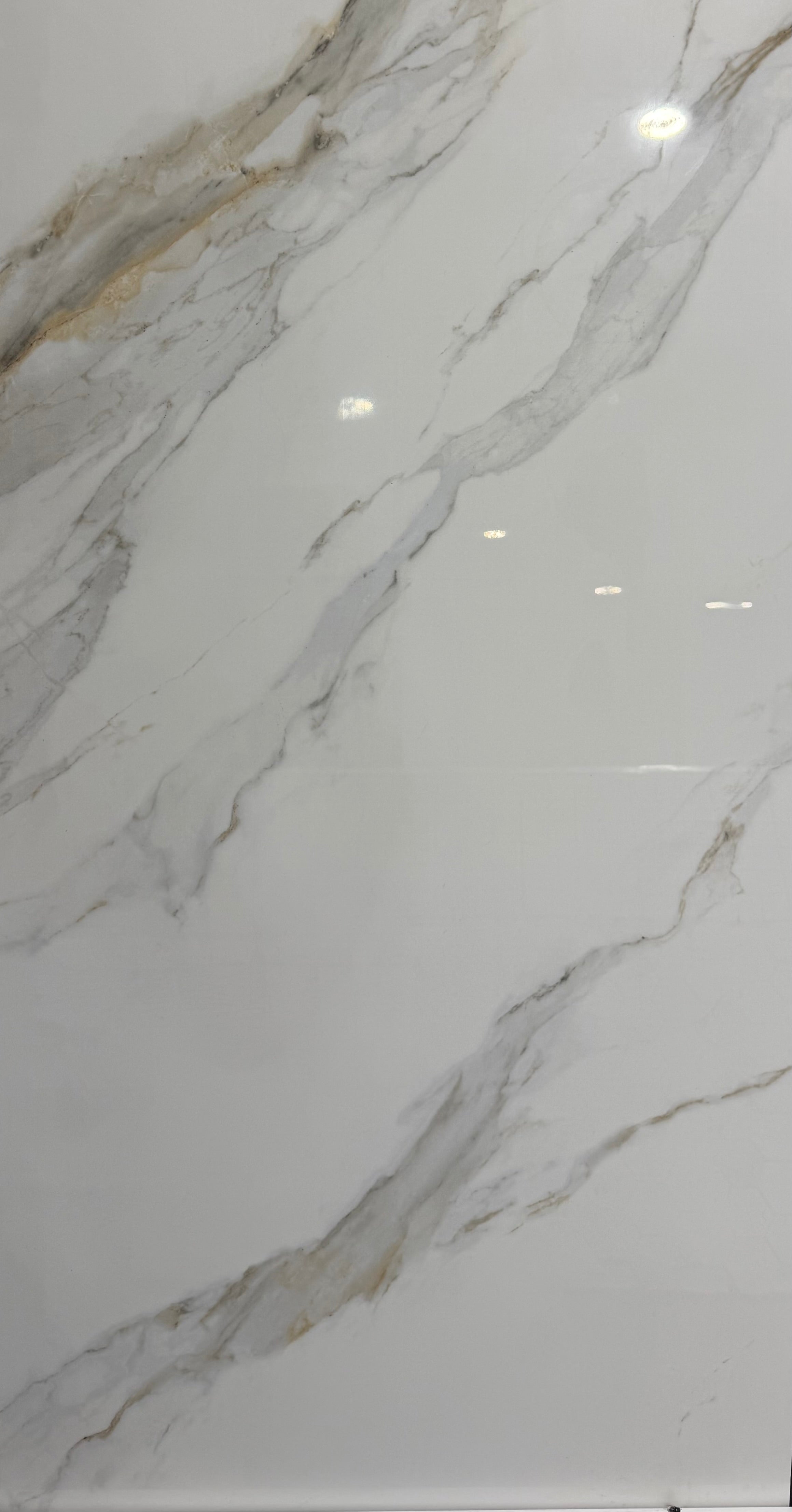 Carrara Gold Polished - Squared Feet