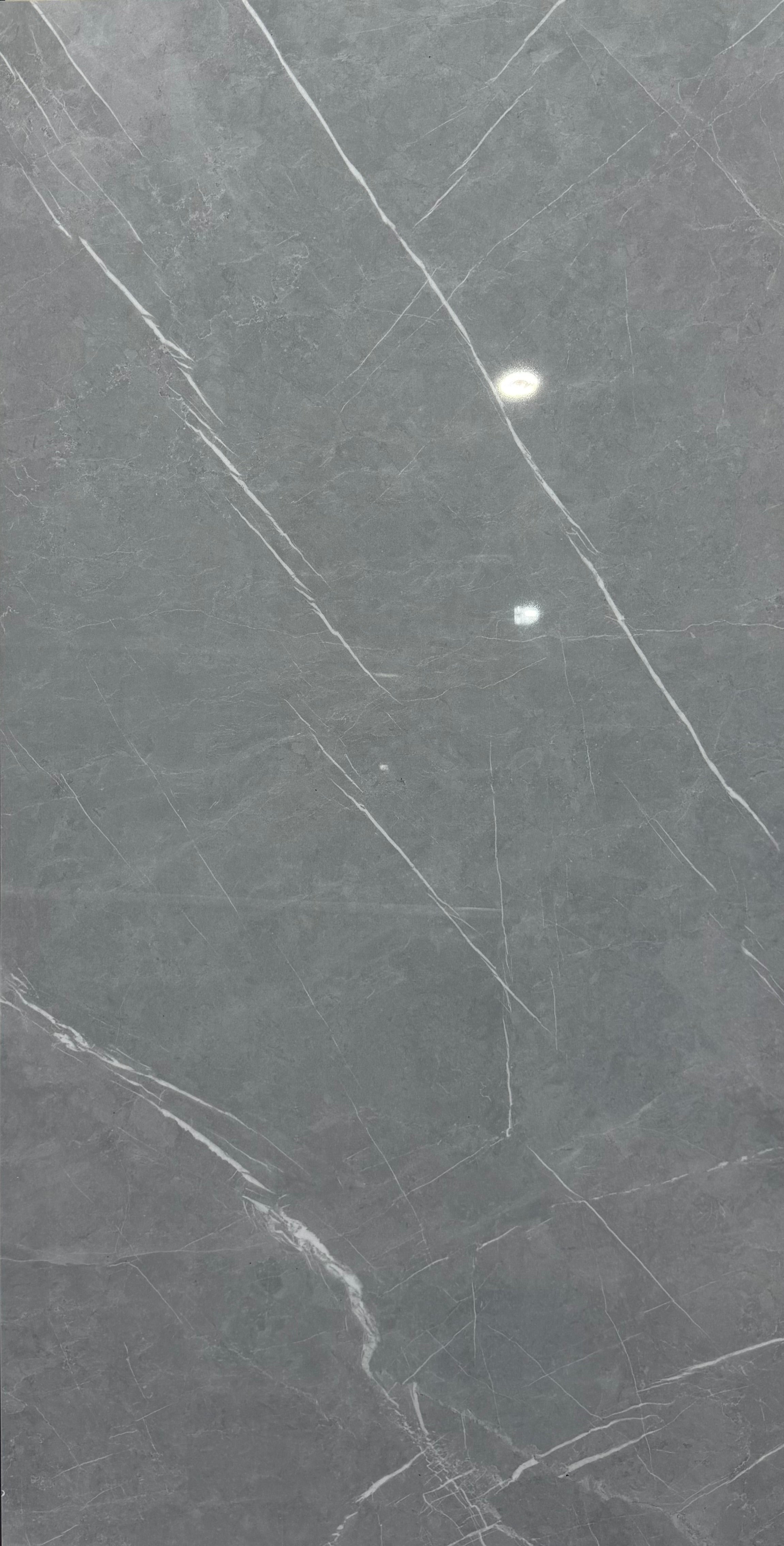 Bulgaria Light Grey Polished - Squared Feet