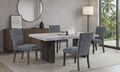 D2410 DINING TABLE + 4 D86DC DINING CHAIR