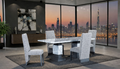 DINING TABLE SET